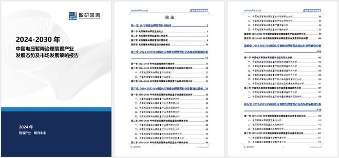 2024年中國電壓暫降治理裝置行業(yè)市場全景調查及投資前景研究報告(圖5)