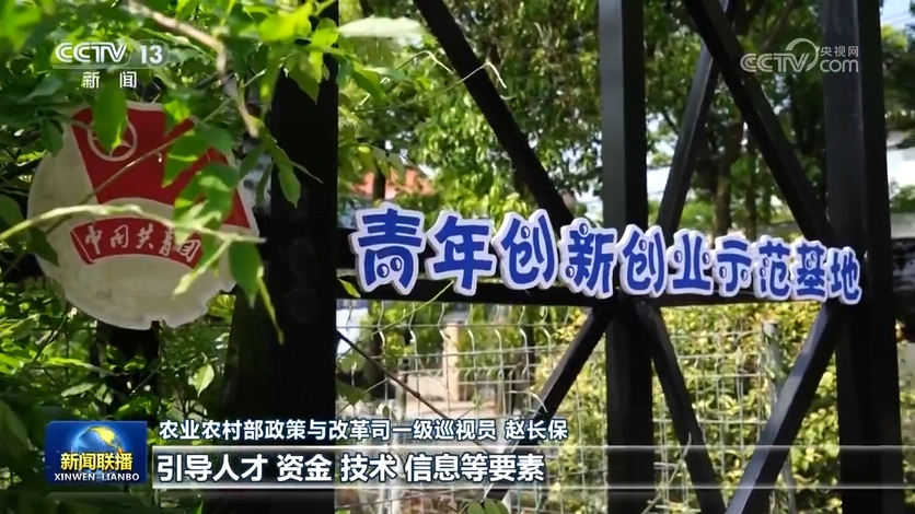 【錨定現(xiàn)代化 改革再深化】全面深化改革 推進(jìn)農(nóng)業(yè)農(nóng)村現(xiàn)代化(圖2)