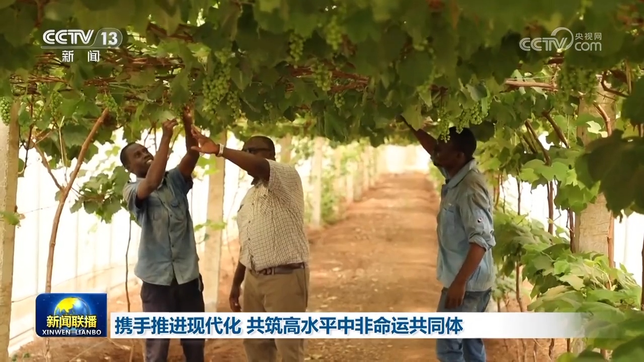 攜手推進現(xiàn)代化 共筑高水平中非命運共同體(圖3)