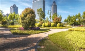 汽車彈簧市場機遇及行業(yè)發(fā)展環(huán)境分析2024(圖7)
