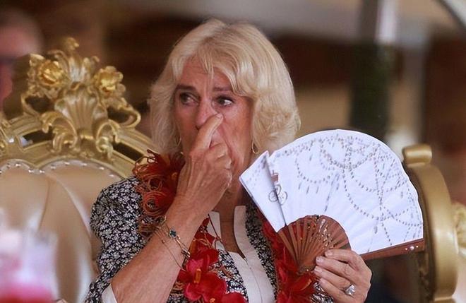 戴安娜靠孫女翻盤！曾被卡米拉壓了一輩子孫女一個舉動讓她穩(wěn)贏(圖18)