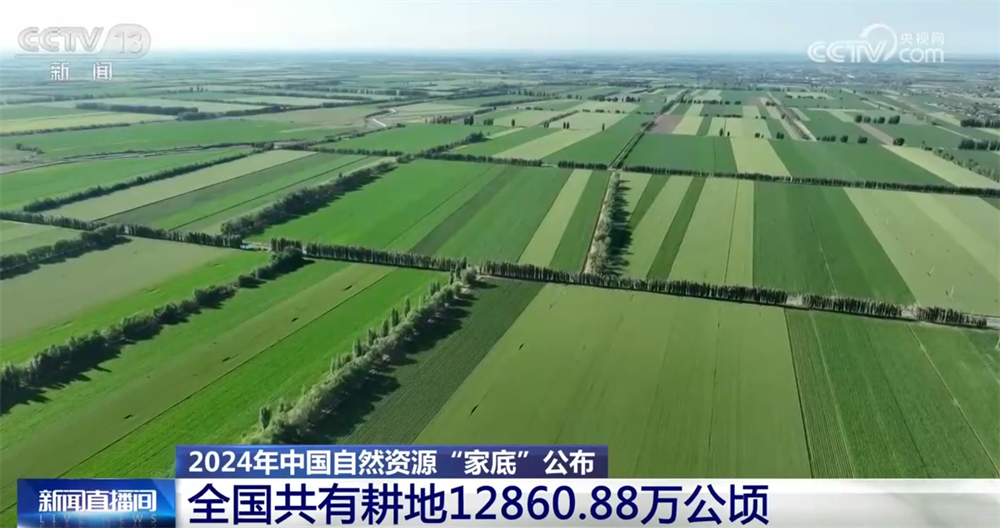 基礎(chǔ)穩(wěn)、韌性強、潛力大 多維數(shù)據(jù)梳理2024年中國自然資源“家底”(圖1)