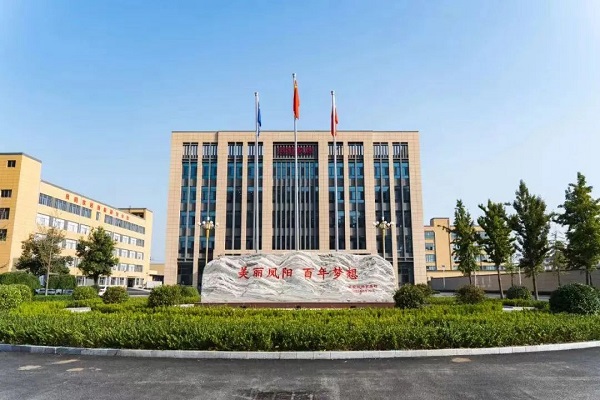 走進鳳陽家居 見證民族企業(yè)逆勢增長密碼(圖1)