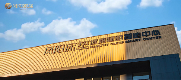 走進鳳陽家居 見證民族企業(yè)逆勢增長密碼(圖9)